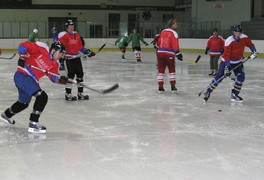 Utkání v ledním hokeji - foto č. 2
