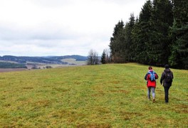 Předvánoční turistický pochod do Daňkovic - foto č. 12