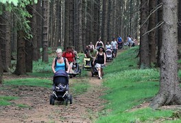 Turistický výlet s dětmi na Březiny - foto č. 6