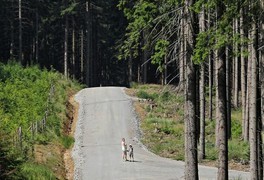 Turistický výlet s dětmi na Březiny - foto č. 7