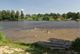 Turistický výlet s dětmi na Březiny - foto č. 13