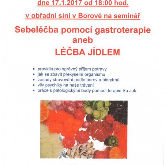 Sebeléčba pomocí gastroterapie aneb LÉČBA JÍDLEM
