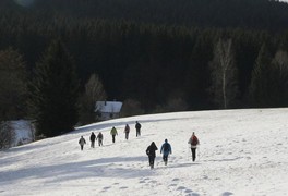 Turistický výlet do Daňkovic 2016 - foto č. 8