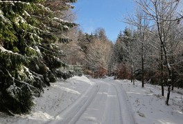 Turistický výlet do Daňkovic 2016 - foto č. 12