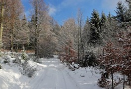 Turistický výlet do Daňkovic 2016 - foto č. 13