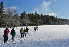 Turistický výlet do Daňkovic 2016 - foto č. 19