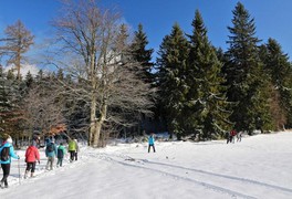 Turistický výlet do Daňkovic 2016 - foto č. 20