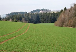 Jarní turistický pochod Vysočinou 2017 - foto č. 11