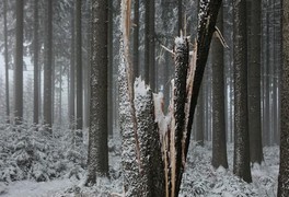 Turistický výlet do Daňkovic 2017 - foto č. 2