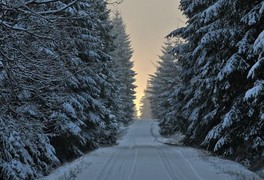 Turistický výlet do Daňkovic 2017 - foto č. 3