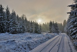 Turistický výlet do Daňkovic 2017 - foto č. 6