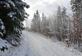 Turistický výlet do Daňkovic 2017 - foto č. 17