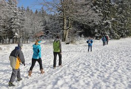 Turistický výlet do Daňkovic 2017 - foto č. 19