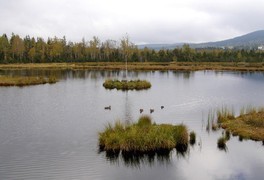 Cyklo-turistický zájezd Šumava - foto č. 6