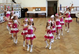 Pustou Kamenici navštívila komise soutěže Vesnice roku 2018 - foto č. 8