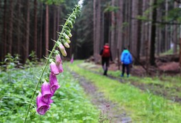 Turistický výlet s dětmi na Březiny 2018 - foto č. 10