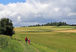 Turistický výlet s dětmi na Březiny 2018 - foto č. 18