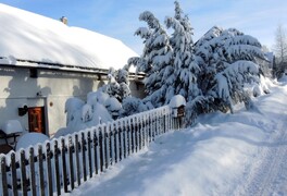 Zima 2019 v Pusté Kamenici - foto č. 19