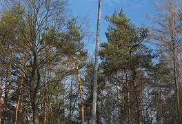 Jarní turistický pochod 2019 - foto č. 11