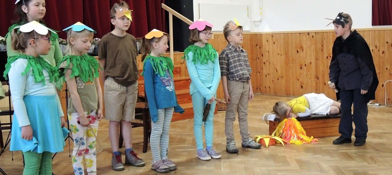 Den Matek 2019