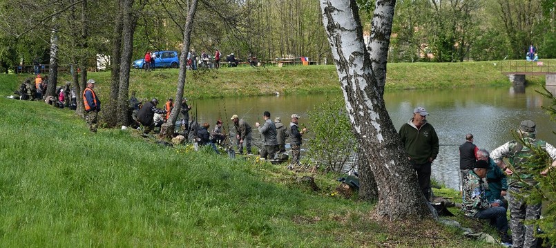 Kamenický losos 2019