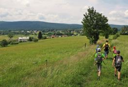 Turistický výlet s dětmi na Březiny 2019 - foto č. 15