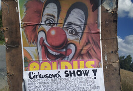 Cirkus PALDUS - foto č. 1