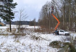 Fotografie z dnešní opravy elektrického vedení - foto č. 10
