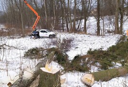 Fotografie z dnešní opravy elektrického vedení - foto č. 11