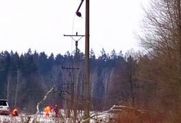 Fotografie z dnešní opravy elektrického vedení - foto č. 14