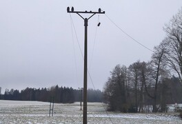 Fotografie z dnešní opravy elektrického vedení - foto č. 20