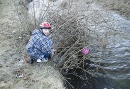 Večer s Andersenem 2010 - foto č. 6