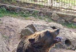 Cykloturistický zájezd - Křivoklátsko - Český kras - foto č. 12