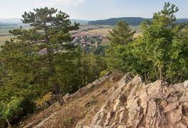 Cykloturistický zájezd - Křivoklátsko - Český kras - foto č. 13