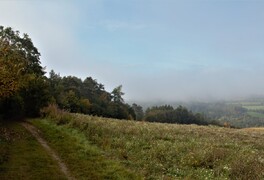 Cykloturistický zájezd - Křivoklátsko - Český kras - foto č. 54