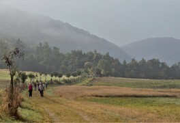 Cykloturistický zájezd - Křivoklátsko - Český kras - foto č. 58