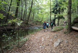 Cykloturistický zájezd - Křivoklátsko - Český kras - foto č. 97