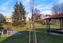 Výsadba stromů v intravilánu obce Pustá Kamenice - foto č. 1