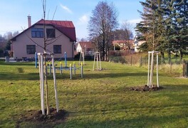 Výsadba stromů v intravilánu obce Pustá Kamenice - foto č. 13