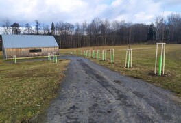 Výsadba stromů v intravilánu obce Pustá Kamenice - foto č. 18