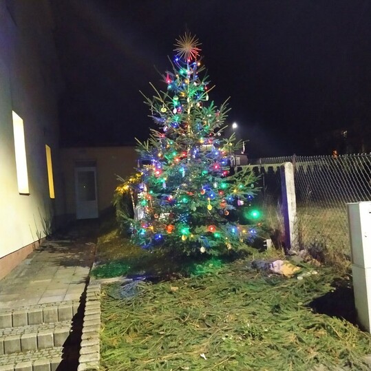 Rozsvícení vánočního stromečku