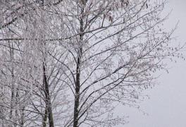 Předvánoční turistický výlet do Sněžného - foto č. 5