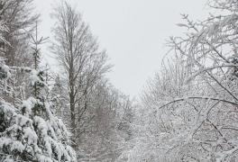 Předvánoční turistický výlet do Sněžného - foto č. 12