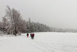 Předvánoční turistický výlet do Sněžného - foto č. 15