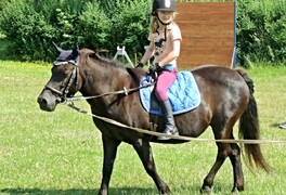 Cirkusové vystoupení dětí ZŠ Pustá Kamenice - foto č. 11