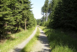 Turistický výlet pro děti a rodiče - Krásné 2010 - foto č. 9