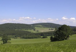 Turistický výlet pro děti a rodiče - Krásné 2010 - foto č. 19