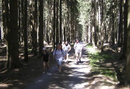 Turistický výlet pro děti a rodiče - Krásné 2010 - foto č. 44