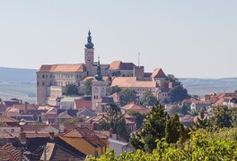 Cykloturistický zájezd na Jižní Moravu - foto č. 91