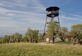 Cykloturistický zájezd na Jižní Moravu - foto č. 106